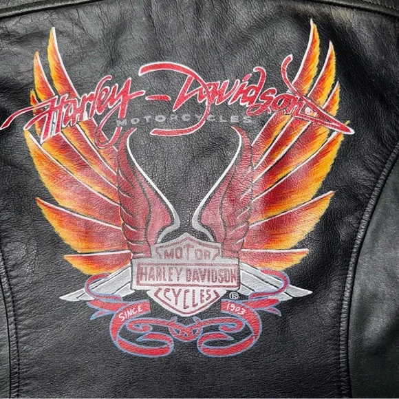 Harley-Davidson Women’s Medium Leather Jacket Custom Hand Painted Back